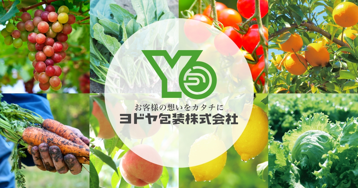 ログイン ヨドヤ包装株式会社